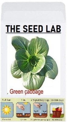 KNESSiN FXD-86 Cabbage Green Seed(500 per packet)