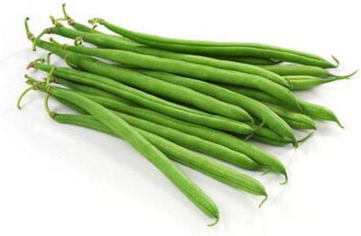 BJUBAS New beans seeds Pack of 17 Seed(17 per packet)