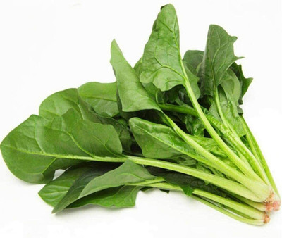CYBEXIS Non-GMO Spinach Seeds 1000 Seeds Seed(1000 per packet)