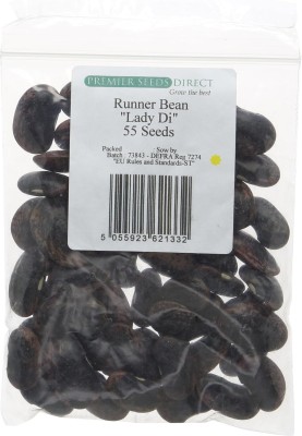 KNESSiN Runner Bean Lady DI Finest Seed(400 per packet)