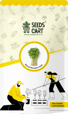 SeedsCart Broccoli Microgreen Seed(95 per packet)