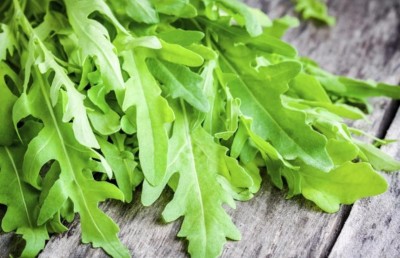 CEZIUS Arugula Seeds - Aromatic Herb Plant Seed(200 per packet)