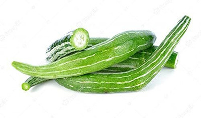 Qualtivate NDIR-119 Snake Serpent Gourd, Chichinda Seeds Seed(50 per packet)