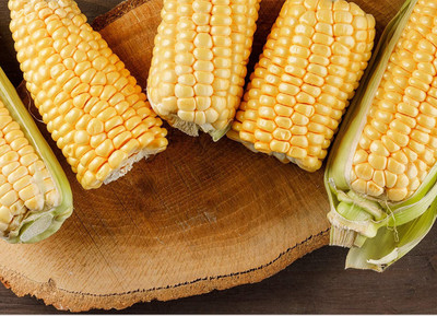 VibeX HUA-82 - Golden Bantam Sweet Corn - (2250 Seeds) Seed(2250 per packet)