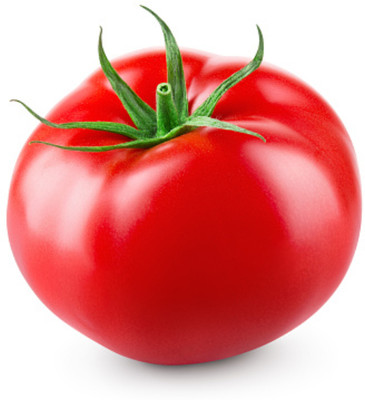 VRAKSHA Organic Tomato Vegetable Seed(1200 per packet)