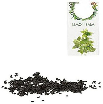 CYBEXIS Organic Herb Seeds-Lemon Balm-100 Seeds Seed(100 per packet)