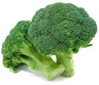 VibeX GBPUT-27 - Lieutenant Broccoli - (150 Seeds) Seed(150 per packet)