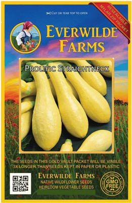 Qualtivate HYB-7A Prolific Straightneck Summer Squash Seeds Seed(30 per packet)