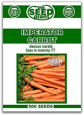 CYBEXIS NDIR-85 - Imperator Carrot - (2250 Seeds) Seed(2250 per packet)