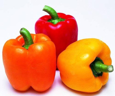 ibains Capsicum mixed seeds combo Seed(128 per packet)
