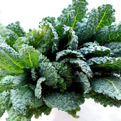 CYBEXIS Hardy Savoy Cabbage Seeds2000 Seeds Seed(2000 per packet)
