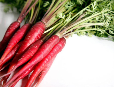 RUDAN Atomic Red Carrot Seed(2000 per packet)