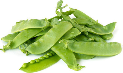 CYBEXIS GUA-83 - Oregon Giant Snow Pea - (100 Seeds) Seed(100 per packet)