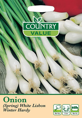 CYBEXIS Hybrid Spring Onion Seeds White Lisbon1000 Seeds Seed(1000 per packet)