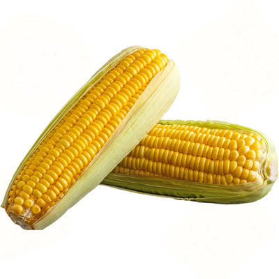 Avysa maize Seed(100 per packet)