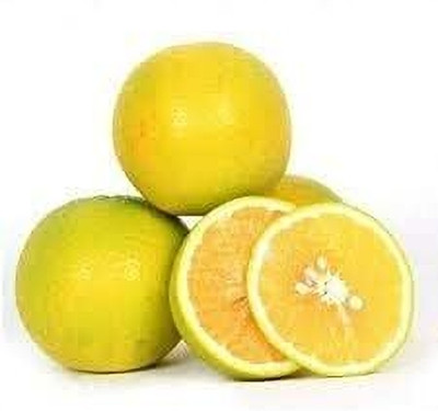 Aywal Mausambi Sweet Lemon Fruit - Citrus Limetta Seed(28 per packet)