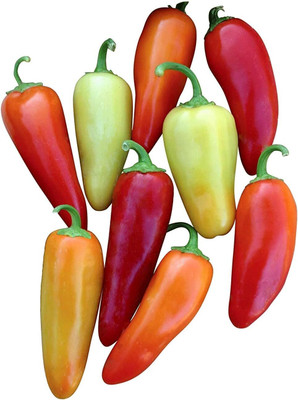 Biosnyg Disease-Resistant Santa Fe Grande Pepper Seeds For Gardening-(2000 Seeds) Seed(2000 per packet)