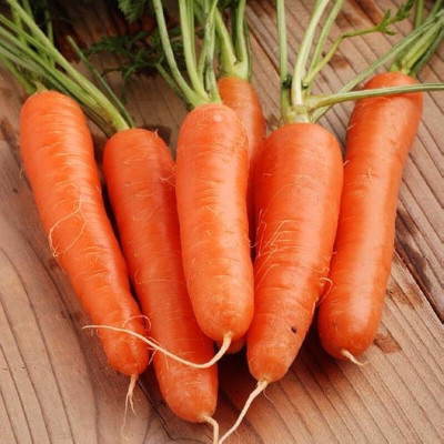 AloGardening Hybrid F1 Carrot/Gajar Vegetables Seeds Seed(145 per packet)