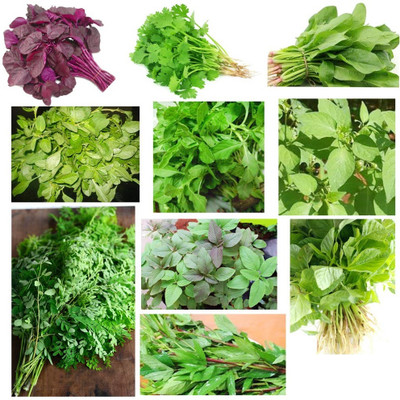 WILLVINE Spinach Seeds kit Easy Leafy Vegetable Seeds-[2000 Seeds] Seed(2000 per packet)