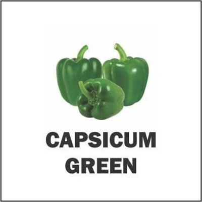 Qualtivate PUAS-2A Capsicum | Bell Pepper| Shimla Mirch Green Seed(100 per packet)