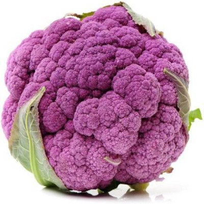 WILLVINE ROX -IV Hybrid Purple Cauliflower Gobhi Ke Beej[25g, 7500 Seeds] Seed(7500 per packet)