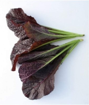 CYBEXIS TLX-7 - Mustard Greens Garnet Giant(Purple) - (750 Seeds) Seed(750 per packet)