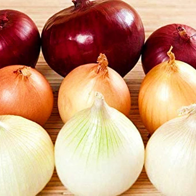WILLVINE LXI-1161 Onion Rainbow Mix Neutral Seed(1000 per packet)