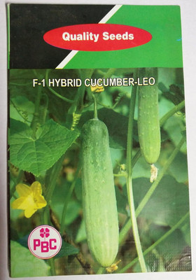 ActrovaX Cucumber Seed(250 per packet)