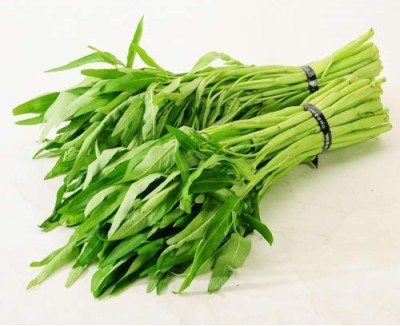 KNESSiN Water Spinach - Kolmi Shag Hybrid -{800 Seeds} Seed(800 per packet)