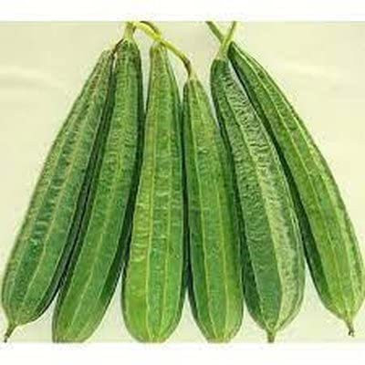 KANAYA Dhari Tori Seed(58 per packet)