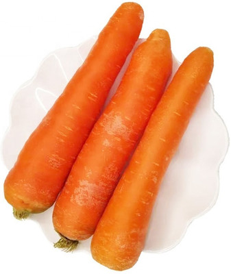 Quentova Orange Carrot/Gaajar Gardening-6T-XLR Seed(200 per packet)