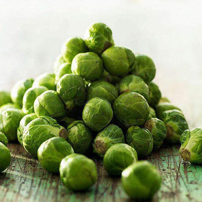 CYBEXIS F1 Hybrid Brussels Sprouts Seeds 2000 Seeds Seed(2000 per packet)