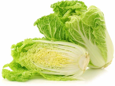 WILLVINE GBPUT -I Vegetable Chinese Cabbage Seeds [2.5g] Seed(750 per packet)