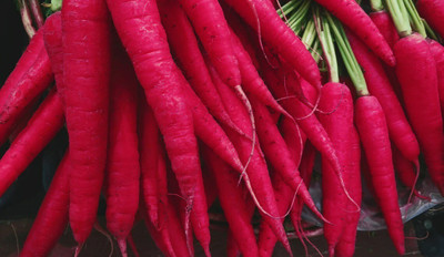 Quentova Red Carrot / Daucus carota-10P-PUAS Seed(250 per packet)