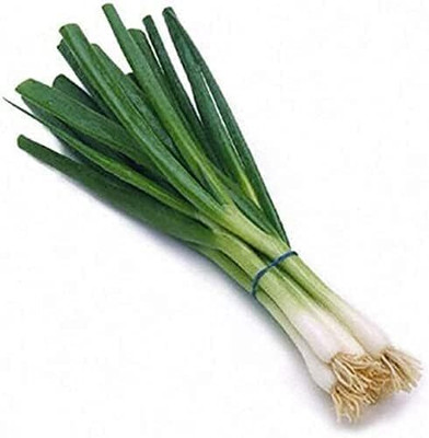 Qualtivate GBPT-9A Scallion Green Bunching Onion Seed(500 per packet)