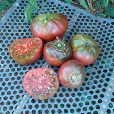 Jevik Brandywine-Pink-Tomato- Seed(215 per packet)