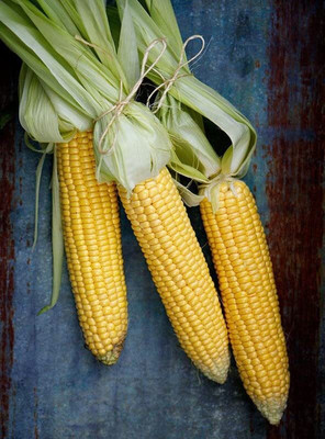 LPR SWEET CORN Seed(100 per packet)
