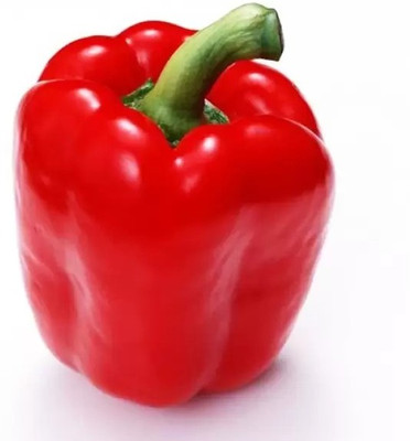Aro Red Capsicum, Capsicum, Bell Pepper Seed(51 per packet)
