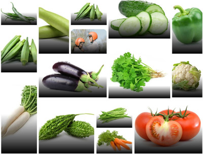 DEYS AGRO ™ Winter season 15 variety vegetable seeds combo pack of Seed(103 per packet)