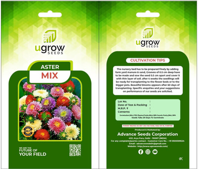 Clint AGRIMAX GARDENS COLORFUL MIX ASTER COLLECTION RAINBOW BLEND FLOWERS & SEEDS Seed(40 per packet)