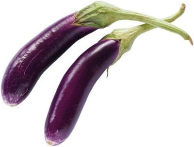 wequality f1 brinjal seeds/brinjal seeds 57 Seed(49 per packet)