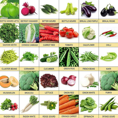 ibains Vegetable seeds for rainy season Seed(260 per packet)
