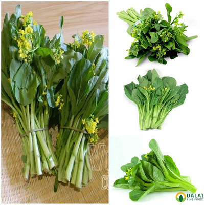 CYBEXIS NBIR-93 - Brassica Juncea Choy Sum Mustard - (750 Seeds) Seed(750 per packet)