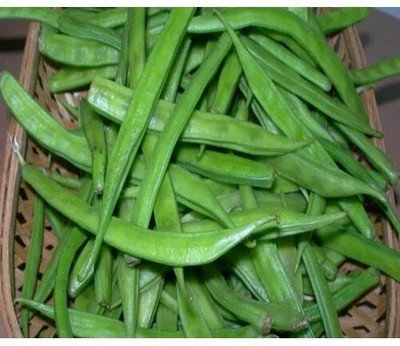 Oliver CLUSTER BEANS SEEDS Seed(21 per packet)