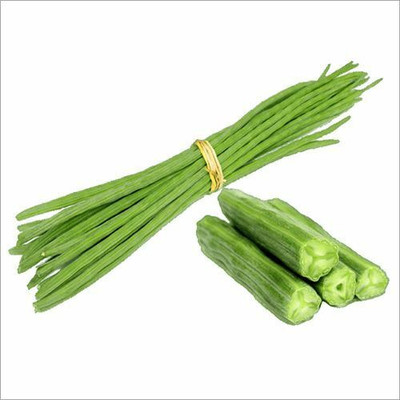 the green dotcom Drumstick/sohjna Seed(60 per packet)
