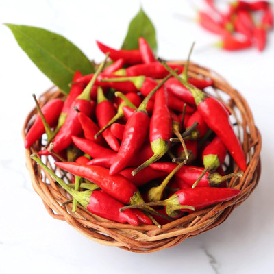Biosnyg Disease-Resistant Red Demon Chilli Vegetable Seeds for Garden-(4000 Seeds) Seed(4000 per packet)
