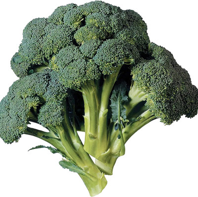 WILLVINE NKR -VII Aspabroc Hybrid Broccoli Seeds Easy to Grow [10g] Seed(3000 per packet)