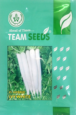 KRASHAK Radish- Mooli White Seed(2 per packet)