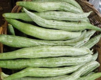 Avysa Snake gourd (Chichinda) Seed(100 per packet)