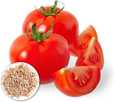 the green dotcom Climbing Tomato Seeds | F1 Hybrid Vegetables Seed(30 per packet)